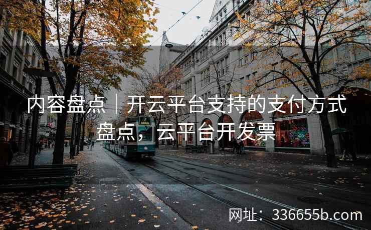 内容盘点｜开云平台支持的支付方式盘点，云平台开发票